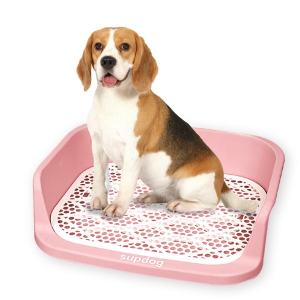 Pet Loo Portable Outdoor or Indoor Dog Toliet Alternative to Puppy Pads for Small, Medium, Large Dogs - Green