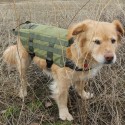 Dog Clothes Warm Down Dogs Jacket Winter Thick Fashion Puppy Cloth for Medium Dogs Pet Supplies Products Outdoor Adjustable Jump
