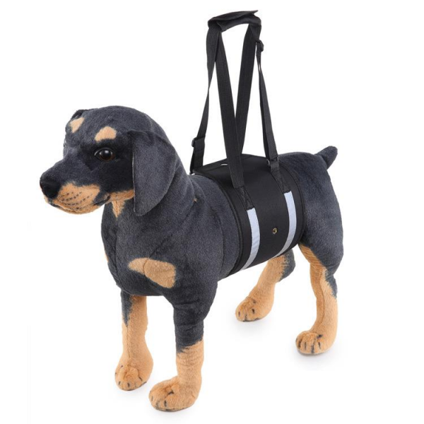 Dog Waist Harness Gog Harness Pet Protection Belt Nylon Clasp Protecting Waist Belt Sport Running Leash Pet Dogs Product - Blue