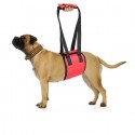 Dog Waist Harness Gog Harness Pet Protection Belt Nylon Clasp Protecting Waist Belt Sport Running Leash Pet Dogs Product - Blue