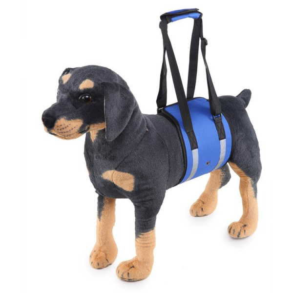 Dog Waist Harness Gog Harness Pet Protection Belt Nylon Clasp Protecting Waist Belt Sport Running Leash Pet Dogs Product - Blue