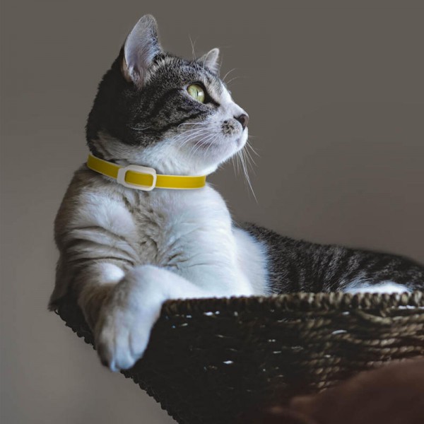 Dog Collar Eliminating Flea Pet Dog Cat Anti Lice Plague Mosquito Insect Prevents Removing Oil Flea Repellent From  - Green 33cm