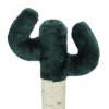 Cute Cactus Pet Cat ...