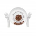 Cat Food Bowls Double Raised - Cat Feeding Bowl Double Dishes Pet Water Feeder Raised with Stand for Cats &amp; Small Dogs - Typ