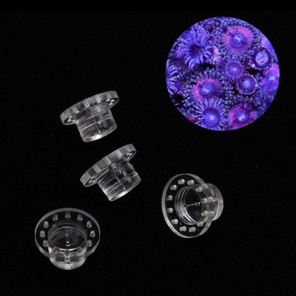 5pcs Bag Acrylic Marine Aquarium Coral Frag Plugs Kits Reef Fish Tank