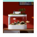 Descriptive Geometry DESGEO 10L Fish C500 Aquarium Tank Smart Feeder Timing Work With WIFI Mijia App Control Automatic From Xiao