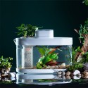 Descriptive Geometry DESGEO C180 9L Aquarium Pro Smart Feeder 7 Colors LED Light Self-Cleaning High Efficiency Filtration Mini A