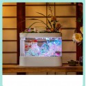 Descriptive Geometry DESGEO 10L Fish C500 Aquarium Tank Smart Feeder Timing Work With WIFI Mijia App Control Automatic From Xiao