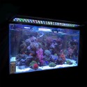 12V 25W 129 LEDs Aquarium Light 30-90cm Lighting Full Spectrum Fish Plant Tank Bar LED Lamp Pet Supplies - 30cm EU Plug