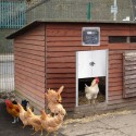 Automatic Chicken Door Opener Kits W/Time Sensor Induction 12'' Wide Automatic Goose with Sunlight Sensor to Prevent Chicken from