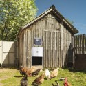 Automatic Chicken Door Opener Kits W/Time Sensor Induction 12'' Wide Automatic Goose with Sunlight Sensor to Prevent Chicken from