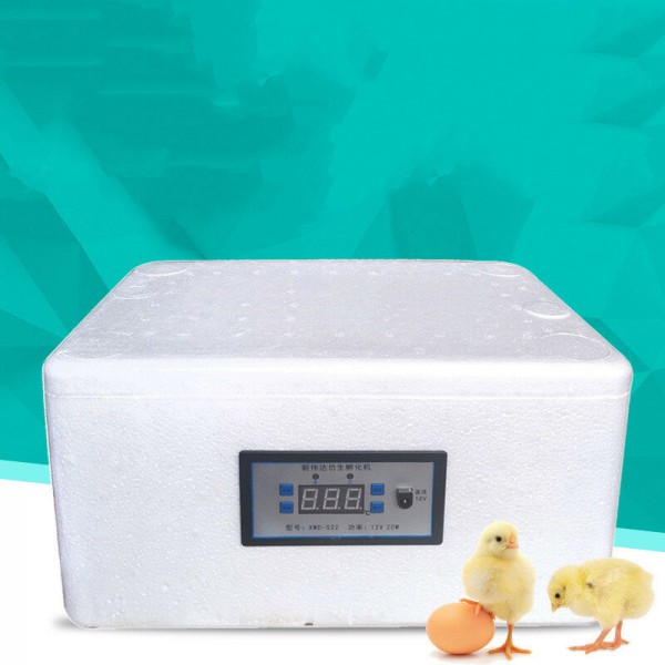 22 Eggs Dual Power Eggs Incubator Digital Mini Automatie Incubatores for Hatching Turkey Goose Quail Chicken Eggs Egg Hatcher Ma