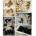 22 Eggs Dual Power Eggs Incubator Digital Mini Automatie Incubatores for Hatching Turkey Goose Quail Chicken Eggs Egg Hatcher Ma