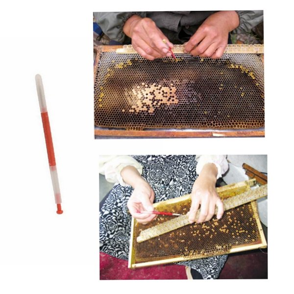 Beekeeping Tools Beekeepers Grafting Tools Retractable Type Beekeeper Needle Grafting