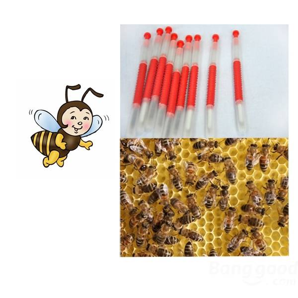 Beekeeping Tools Beekeepers Grafting Tools Retractable Type Beekeeper Needle Grafting